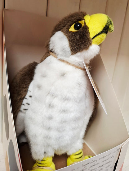 Loved Before Nicholas