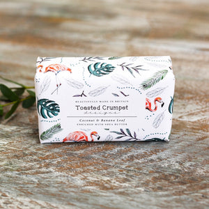 Toasted Crumpet Coconut and Banana Leaf Soap