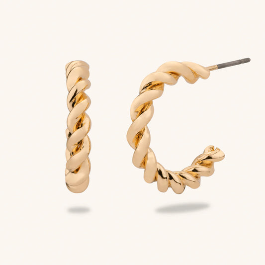 D & X Alesha Hoop earrings