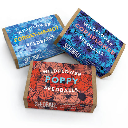 Seedball Wild Flower Collection Box