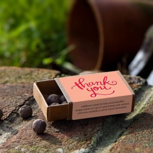 Seedball Thankyou Wild Flower Collection Box