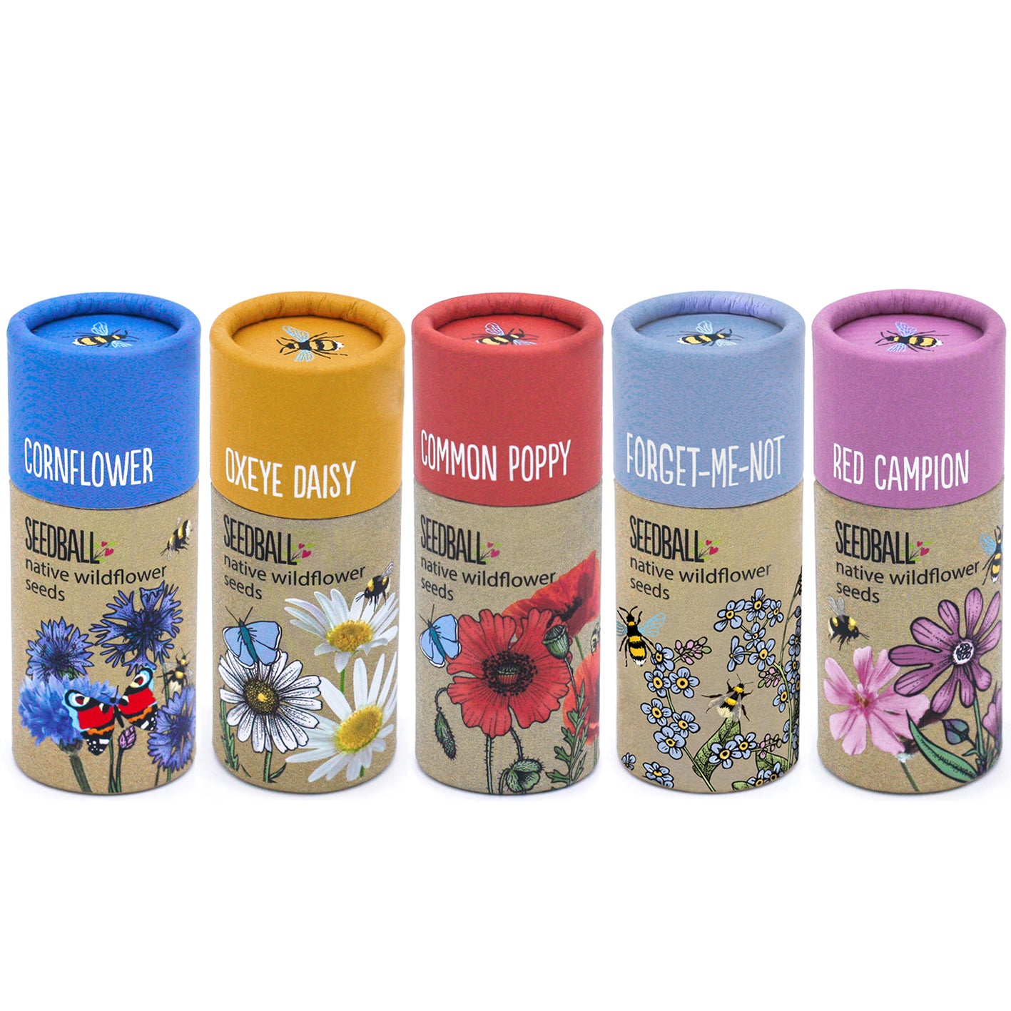 Seedball Wild Flower Collection Tube