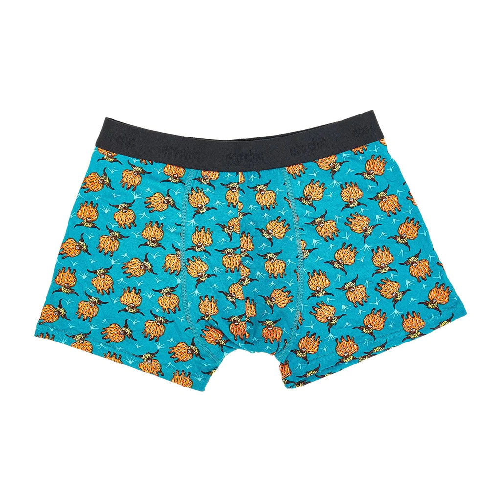 Eco chic mens bamboo boxers, Highland Cows, X large