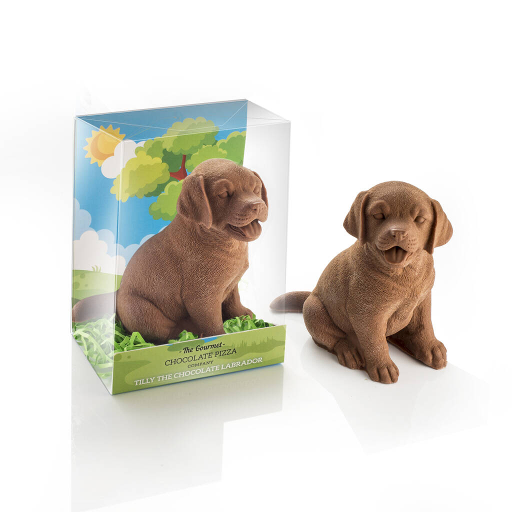 The Gourmet Chocolate Pizza Company - Tilly The Chocolate Labrador