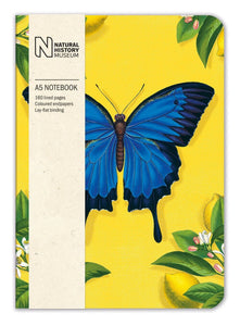 The Natural History Museum A5 Notebook, Butterfly