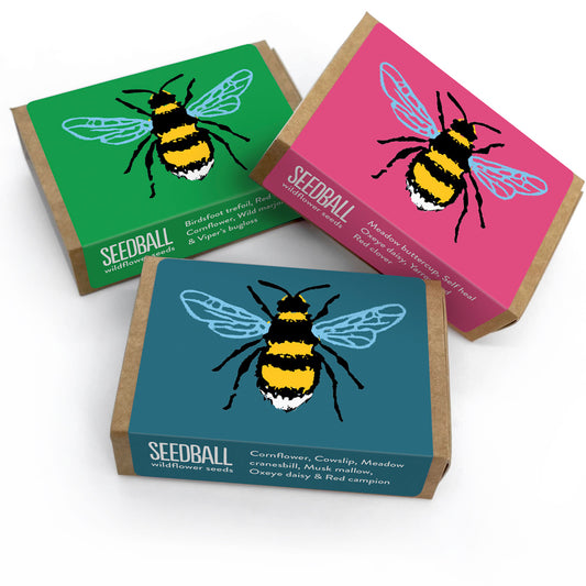 Seedball Bees Flower Collection Box