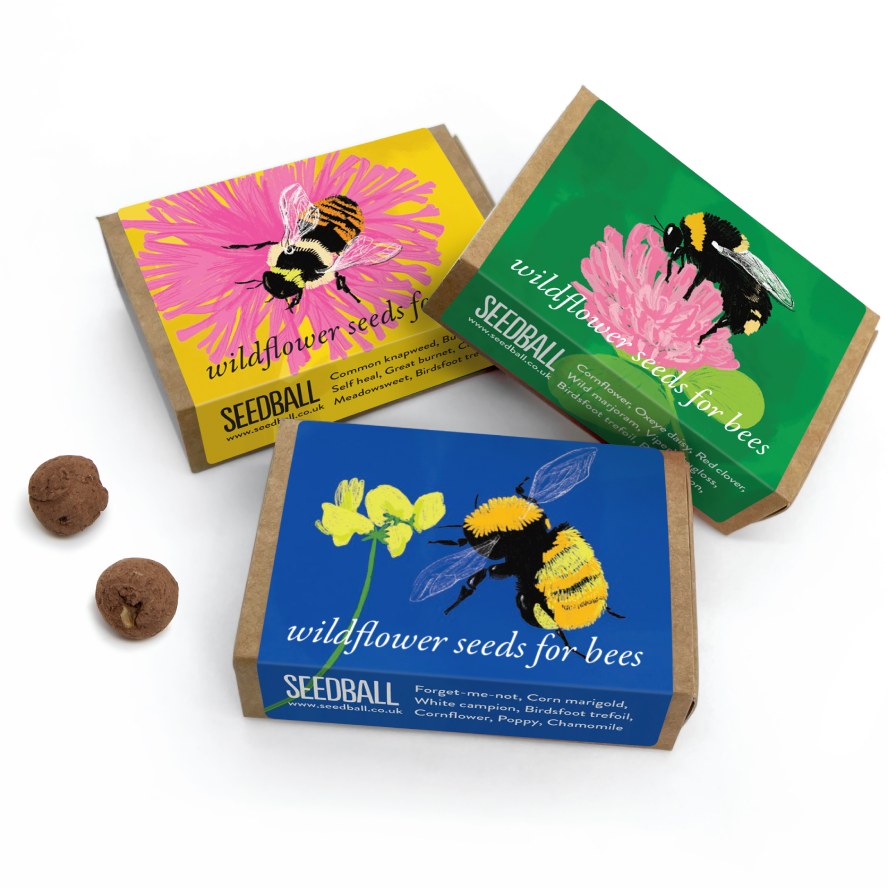 Seedball Bumble Bee and Butterfly Flower Collection Box