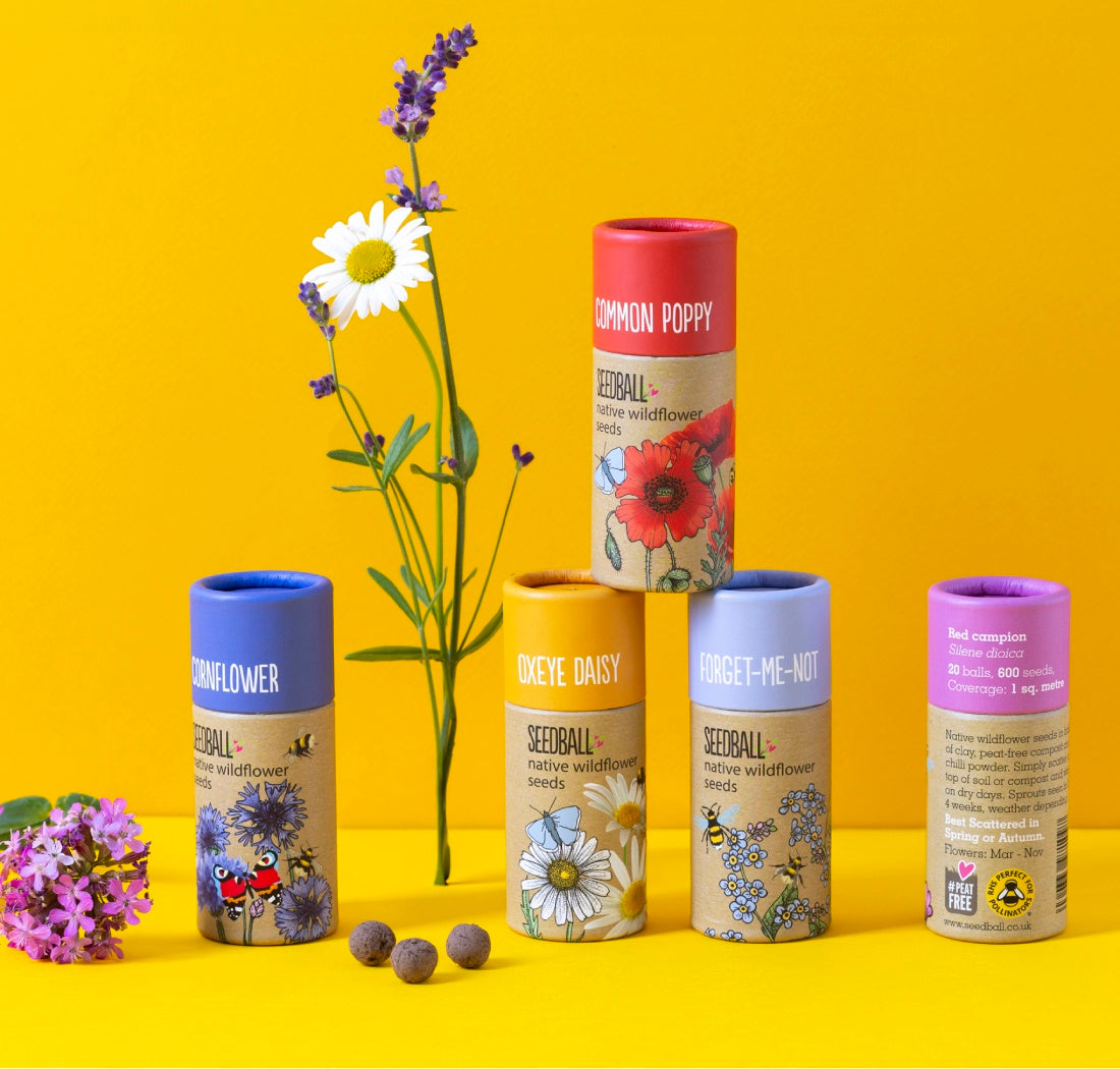 Seedball Wild Flower Collection Tube