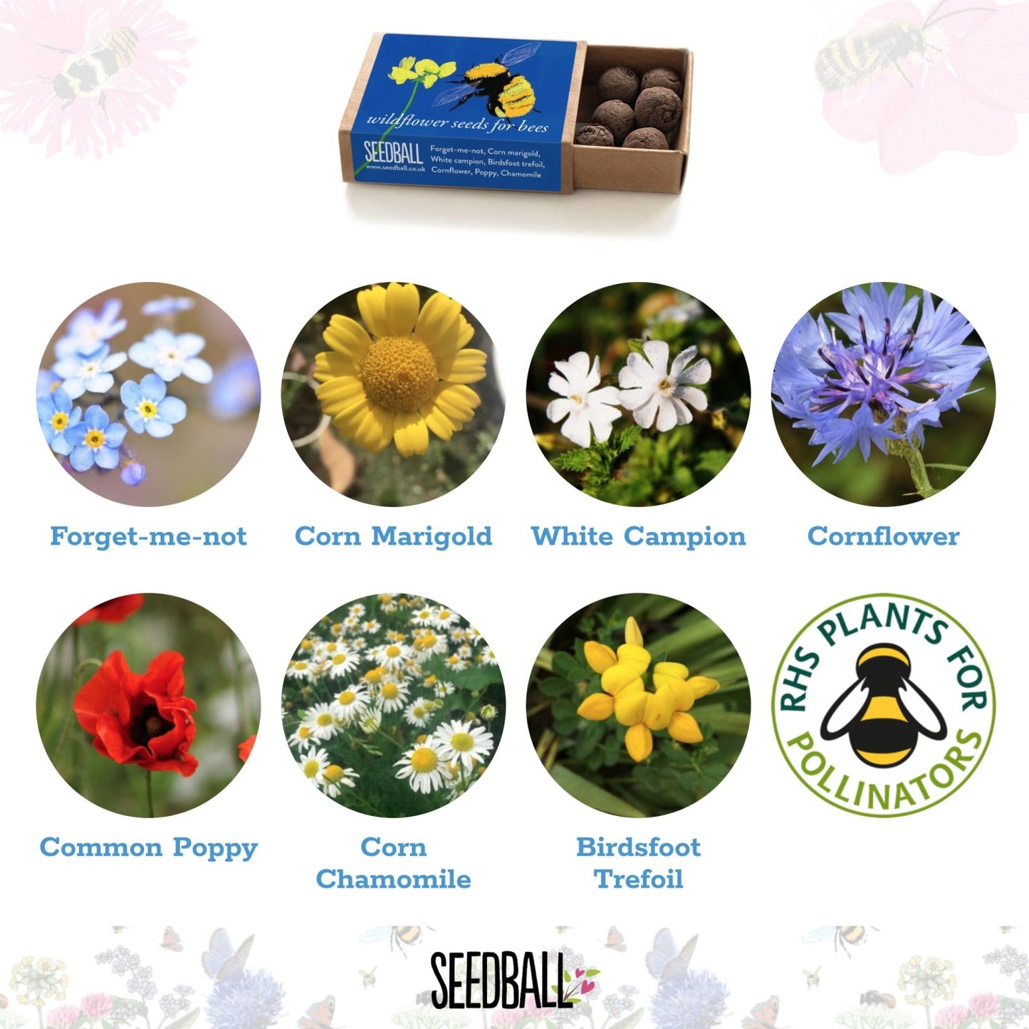 Seedball Bumble Bee and Butterfly Flower Collection Box