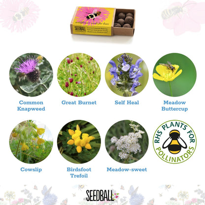 Seedball Bumble Bee and Butterfly Flower Collection Box